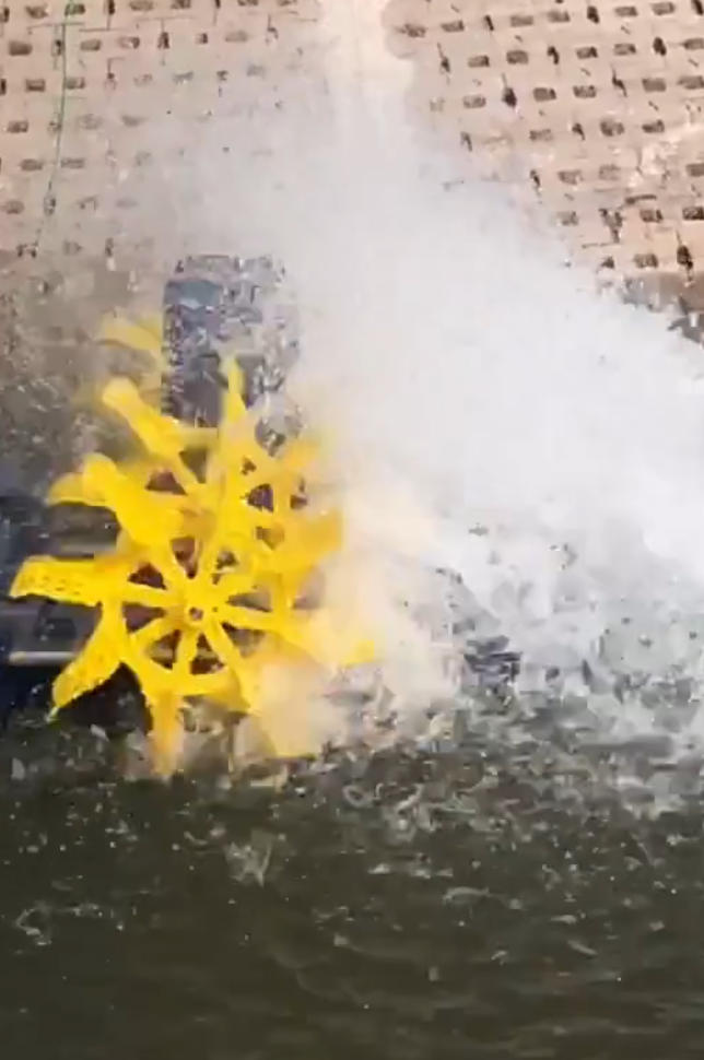 碧水清波，驅(qū)動未來：南京藍寶石太陽能水車曝氣機